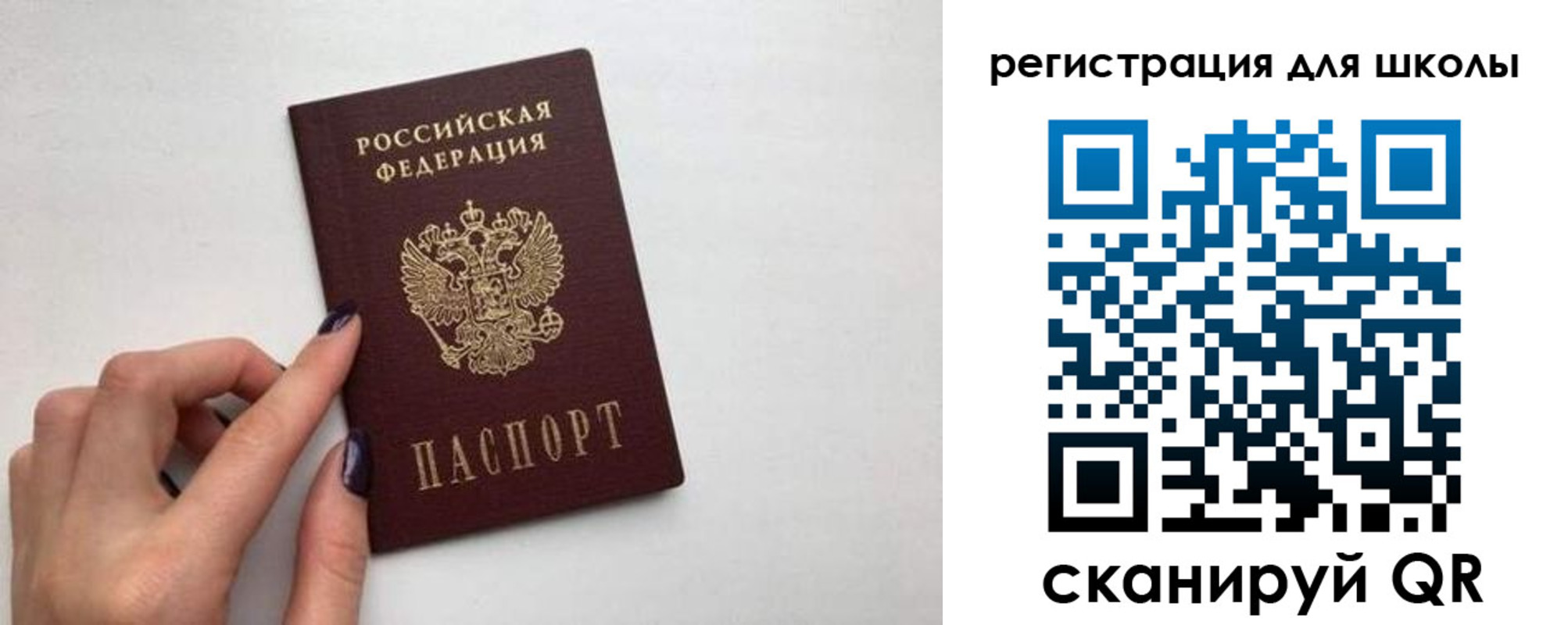 прописка поиск в Приозерске
